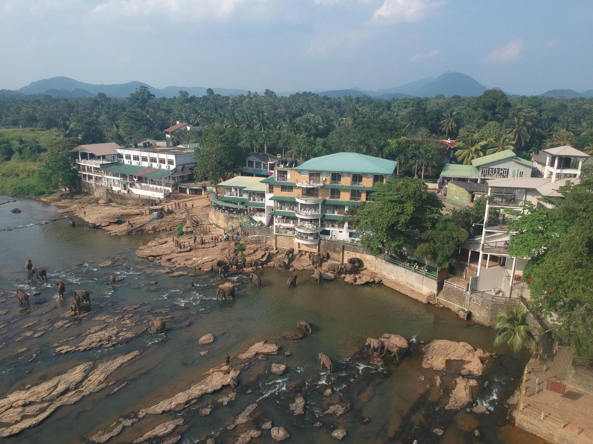 Hotel Elephant Park "Grand Royal Pinnalanda" Pinnawala  Zewnętrze zdjęcie